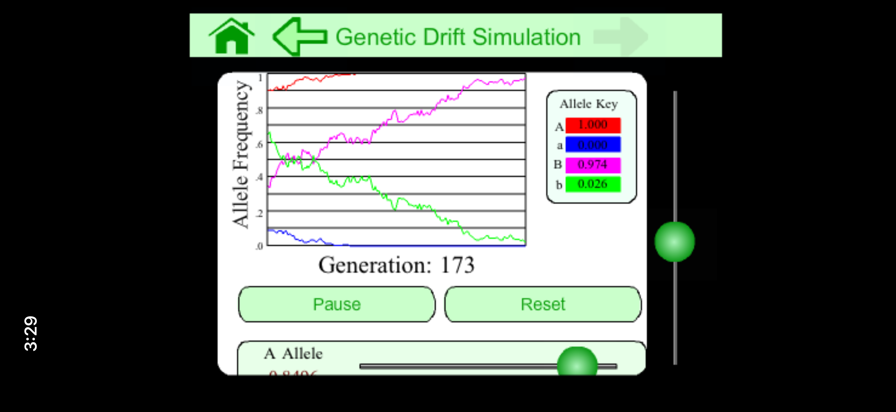 Genetic drift graph showing allele frequencies over generations.