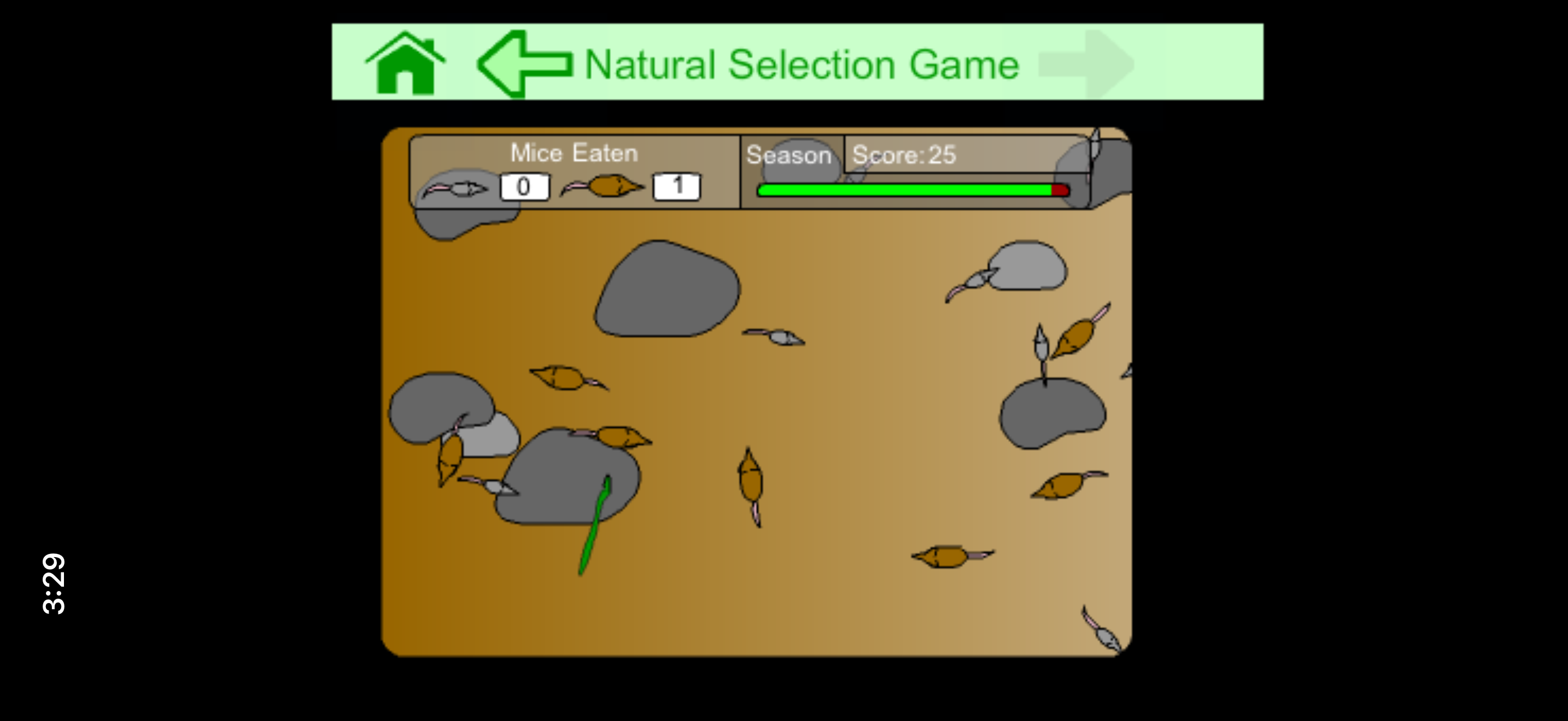 Natural selection game with mice, rocks, and score indicators.